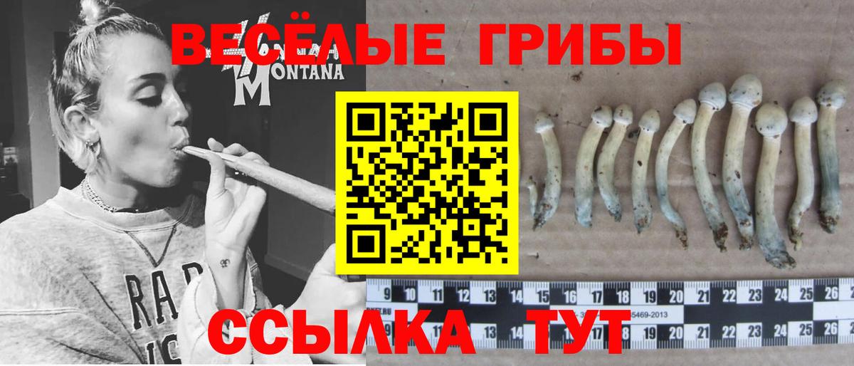 Юрга  даркнет сайт  Вход с VPN  Галлюциногенные грибы MAGIC MUSHROOMS 